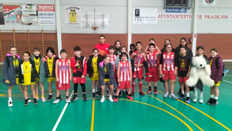 Lee más sobre el artículo Vuelve el baloncesto en los JJDD y ligas FRB